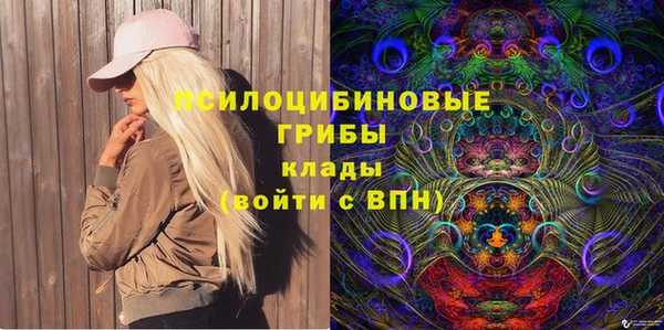 ПСИЛОЦИБИНОВЫЕ ГРИБЫ Заводоуковск