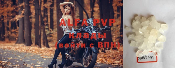 ПСИЛОЦИБИНОВЫЕ ГРИБЫ Заводоуковск