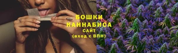 ПСИЛОЦИБИНОВЫЕ ГРИБЫ Заводоуковск